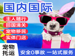 榆林榆阳航空快递国际宠物托运 【国
